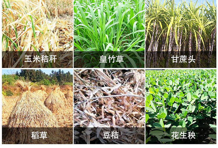 食品機(jī)械 食品機(jī)械