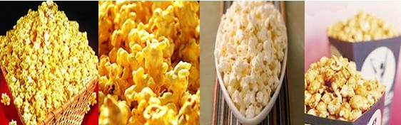 食品機械 食品機械